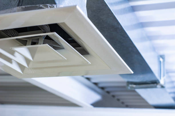 Best Professional Duct Cleaning Services  in Flora, MS